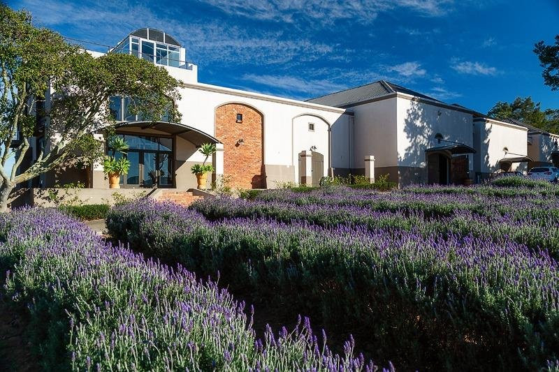 Vlottenburg旅游攻略图片