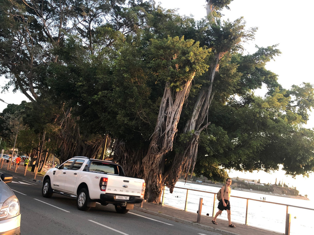 Lemon Bay-努美阿必去景点