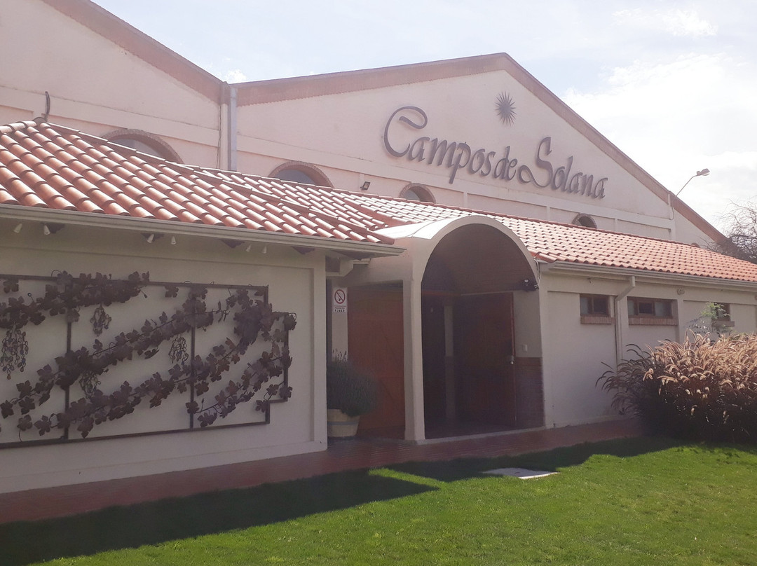 Bodega Campos de Solana-塔里哈必去景点