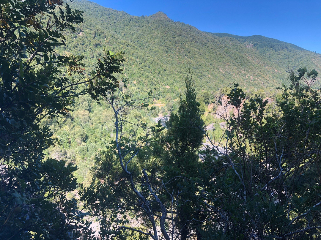 Verde Tour-Valle Las Trancas必去景点