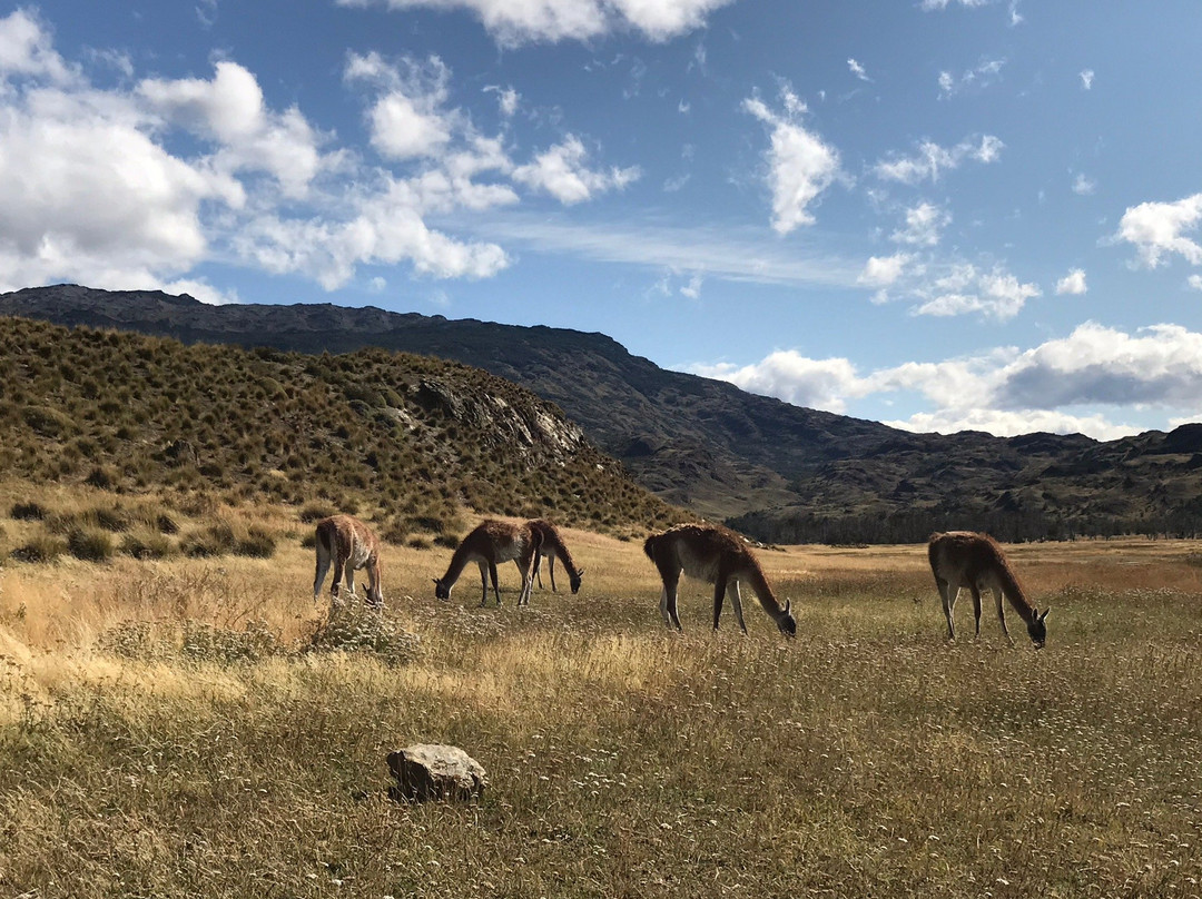 Parque Patagonia景点图片