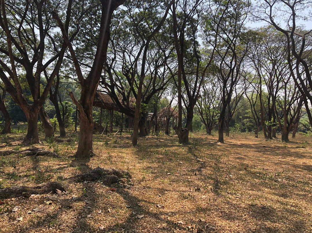 Maeklang Elephant Conservation Community景点图片
