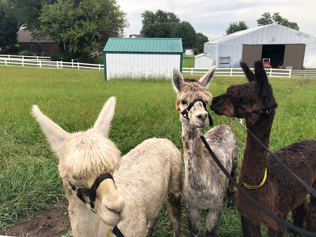 Colonial Gardens-Blue Springs必去景点