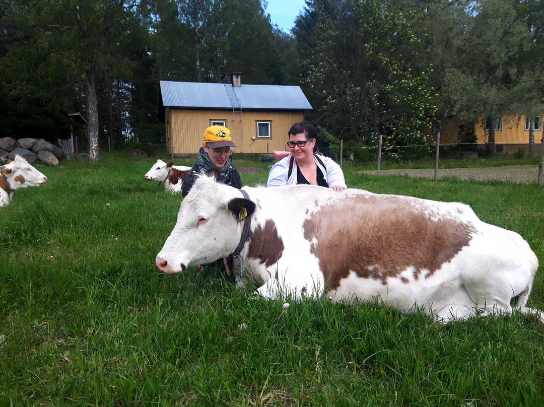Kaiturin Tila-Masko必去景点