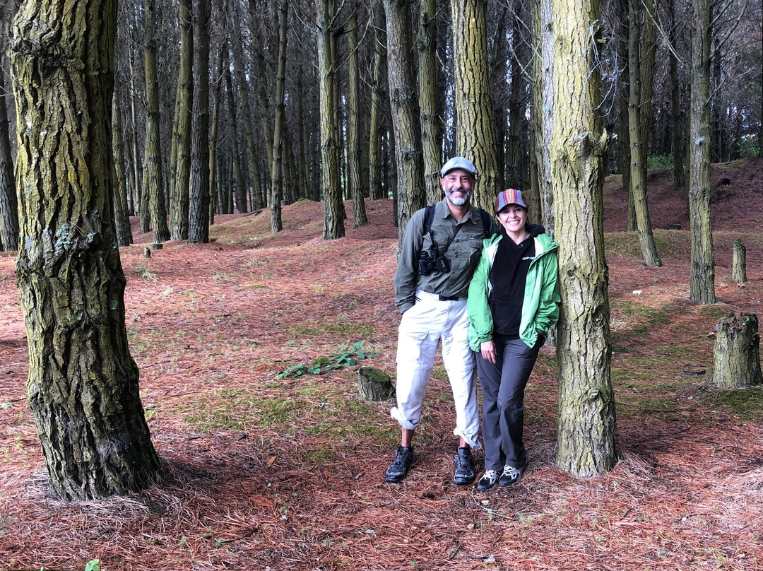 Uñum Kimün-Puerto Saavedra必去景点