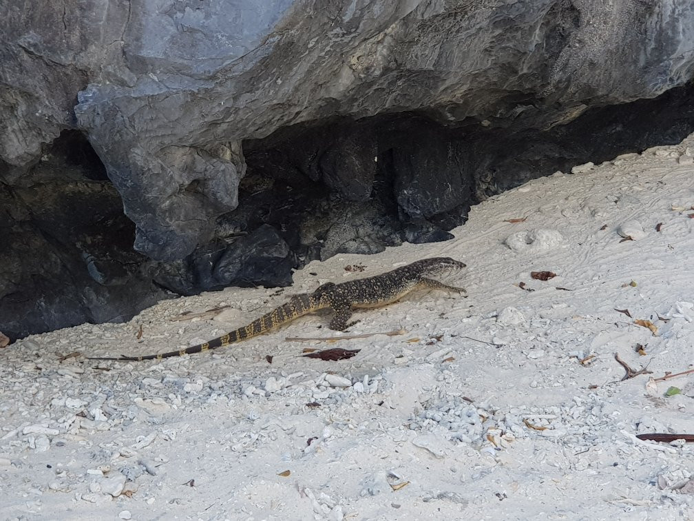 Simizu Island-爱妮岛必去景点