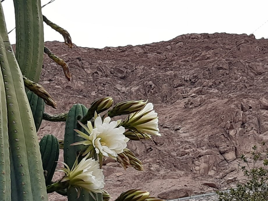 Iglesia de Codpa-Codpa必去景点