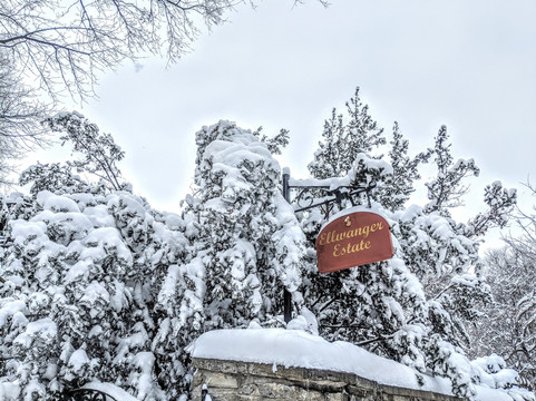 Ellwanger Estate Bed and Breakfast主图