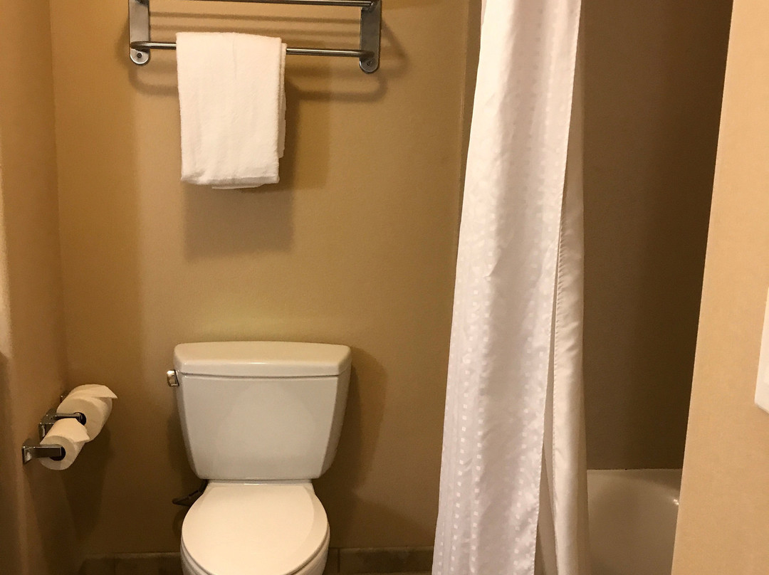 Holiday Inn Express & Suites Fresno Northwest-herndon By IHG主图