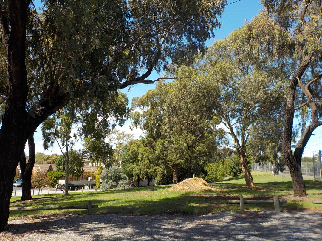 Marion Street Reserve-布莱顿必去景点
