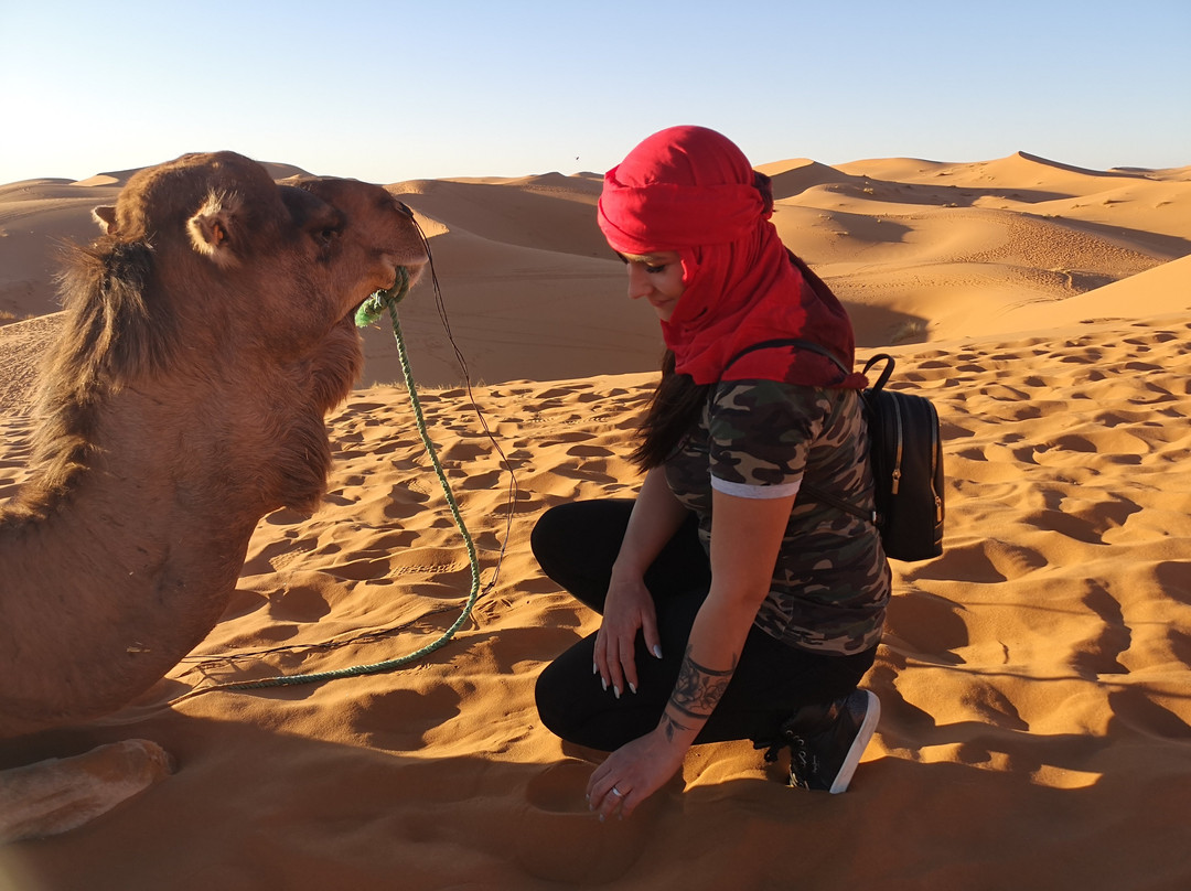 Dune Merzouga Camp景点图片