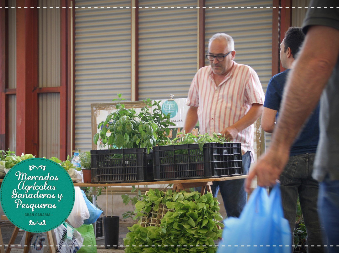 Mercado Agricola La Karpa de Vecindario景点图片