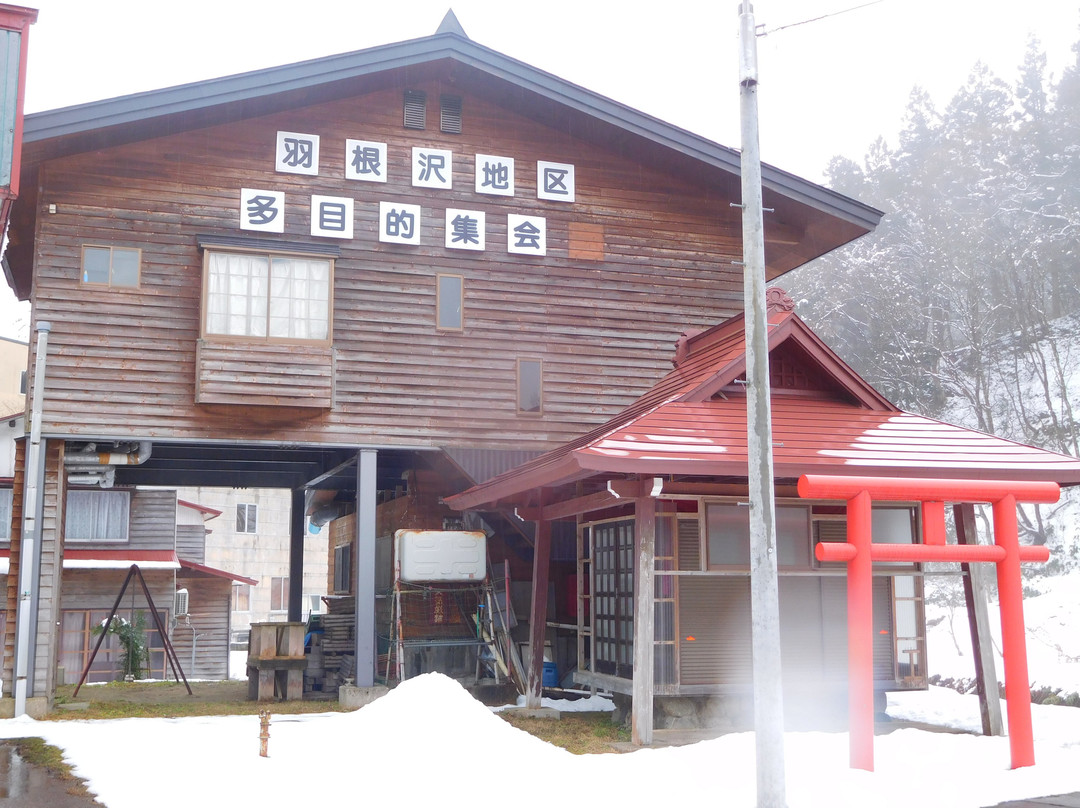 Hanesawa Onsen Kyodo Yokujo景点图片