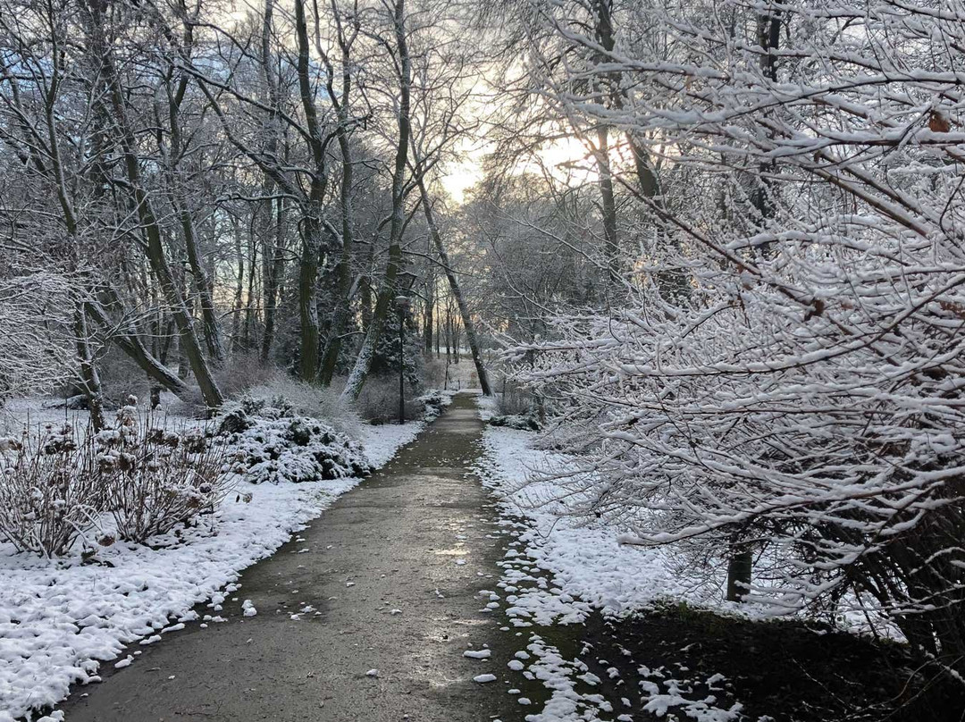 Pałac Bałoszyce主图