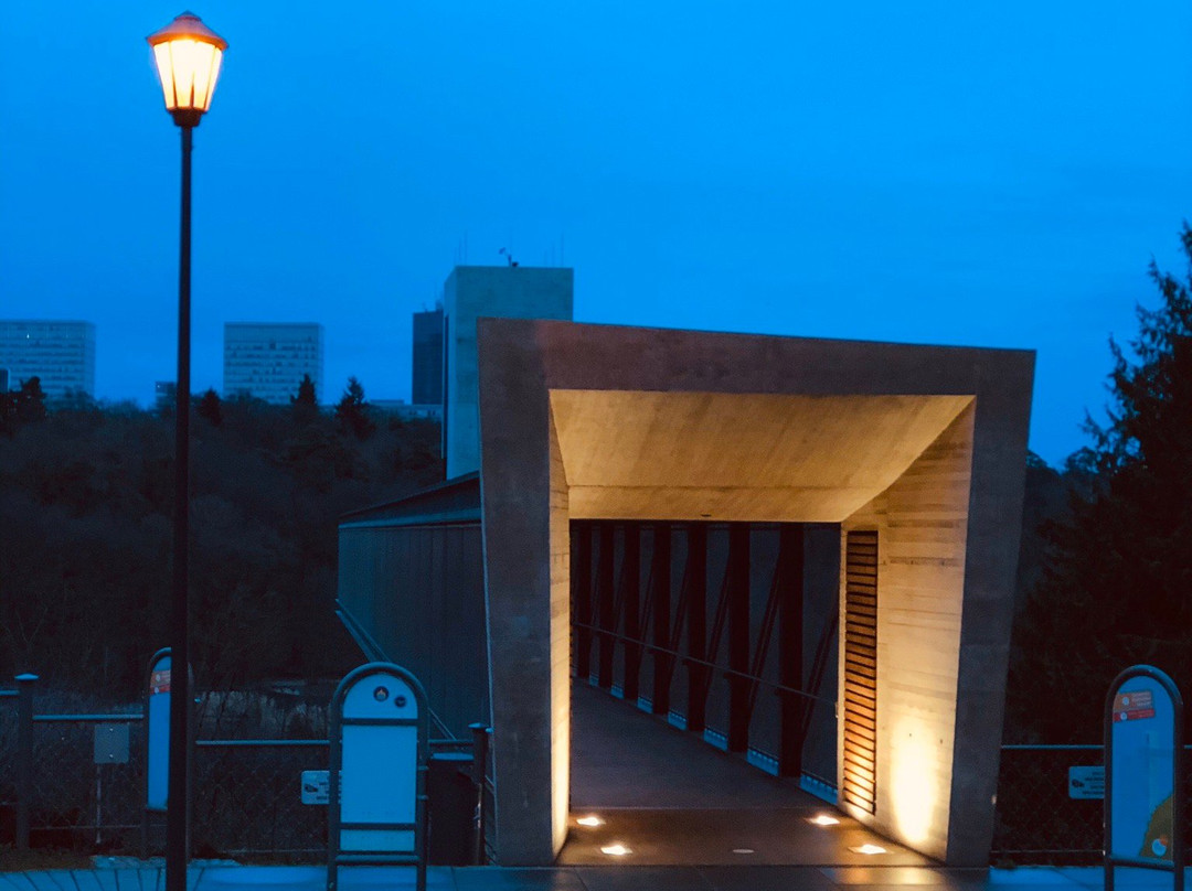 Free Walking Tours Luxembourg- Twenty Tour-卢森堡城必去景点