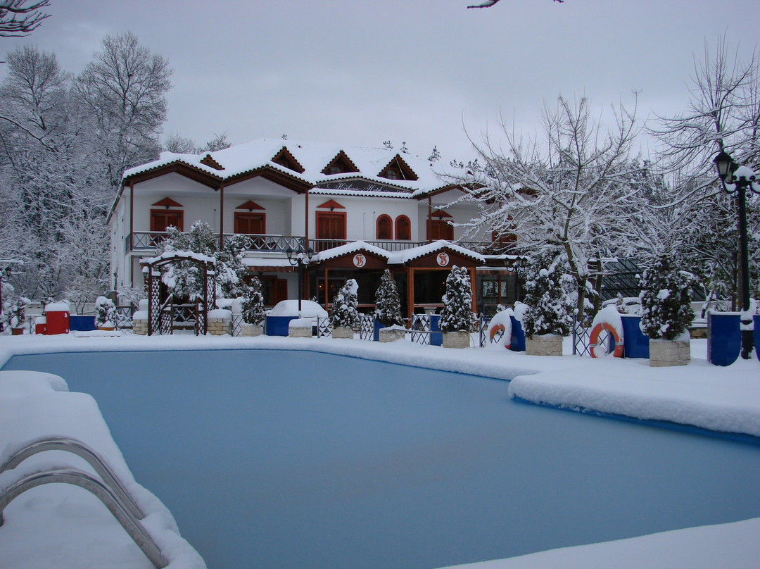 Krikonis Hotel Ioannina主图