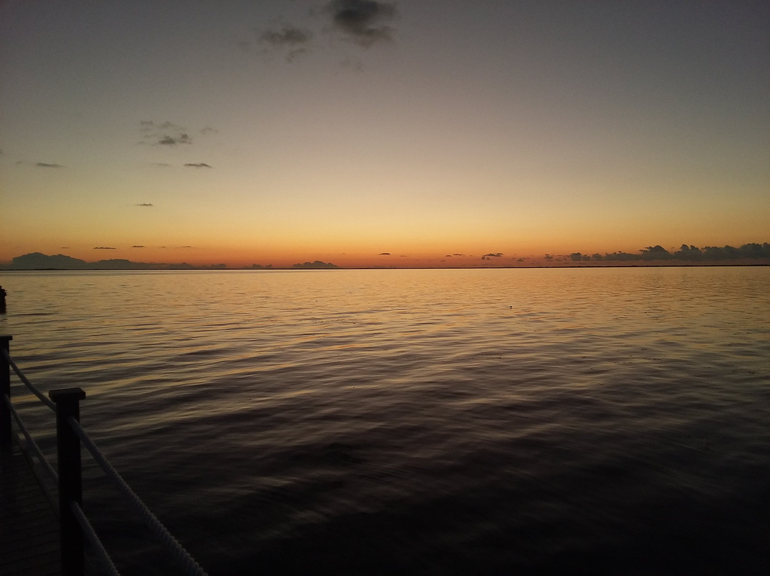 Captain Ron's Diving-Norristown必去景点