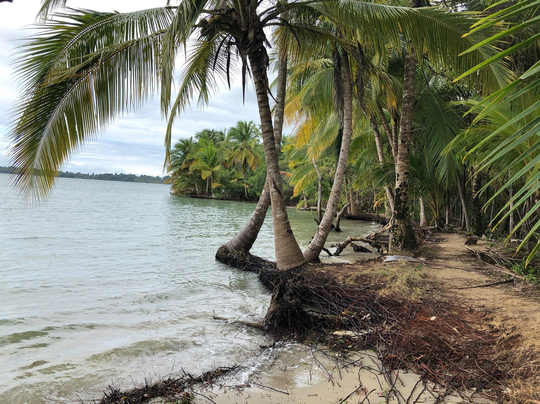 Surf Break at Paunch主图