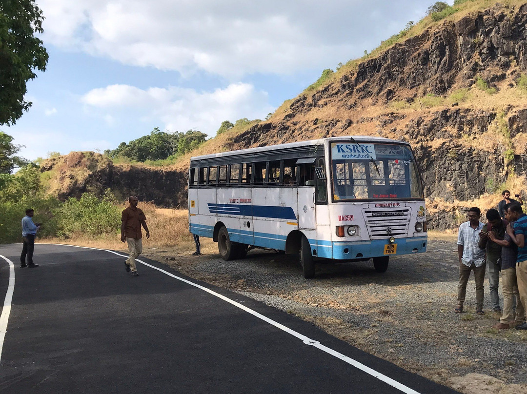 Gavi Forest-帖可迪必去景点