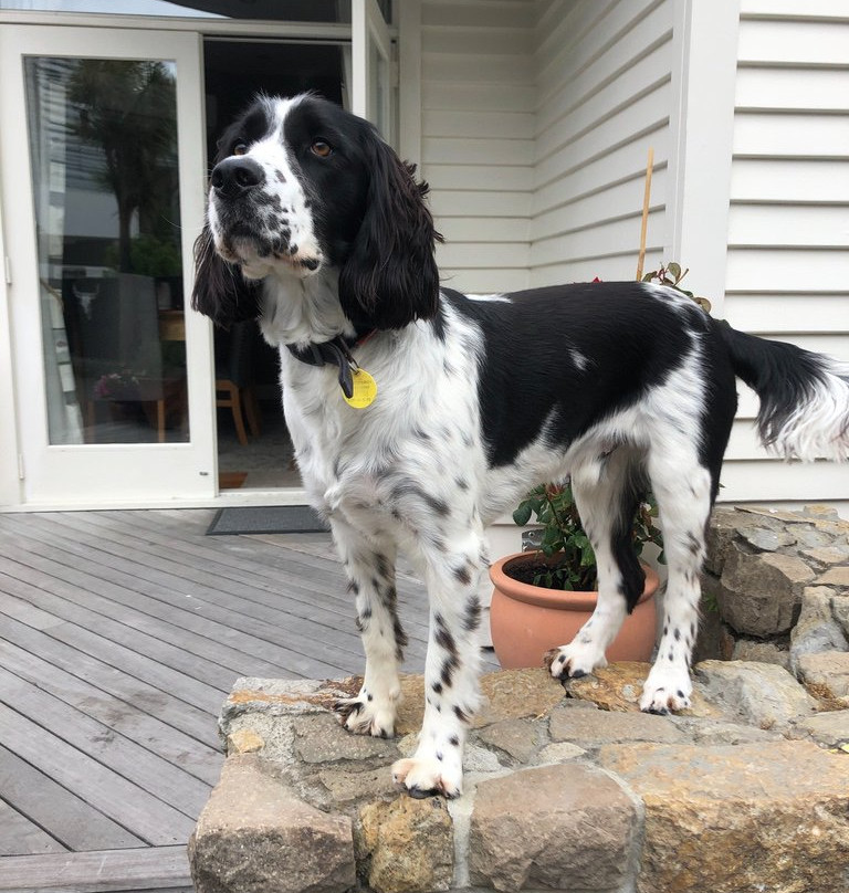 Cave Rock Guest House主图