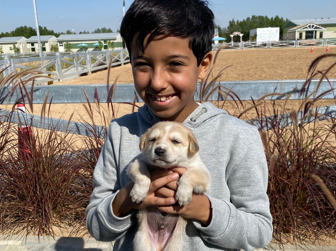 Al Jumooh-Al Awir必去景点