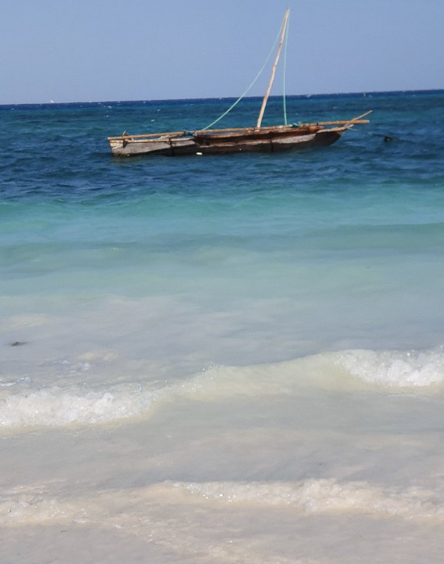 Zanzibar Watersports景点图片