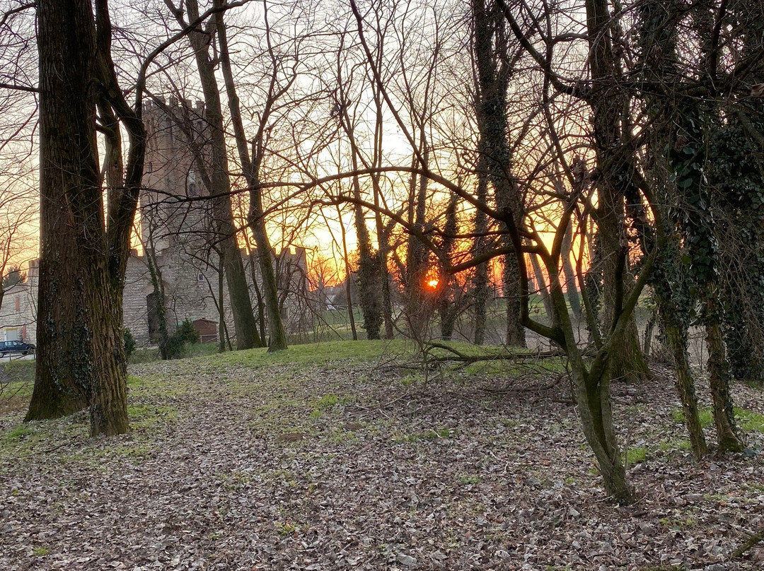 Castello Di San Martino Della Vaneza景点图片