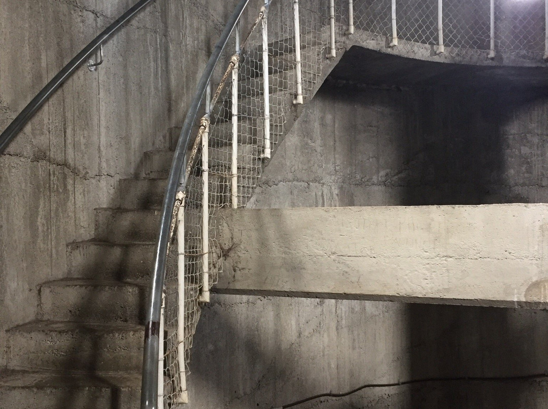 Hawera Water Tower景点图片