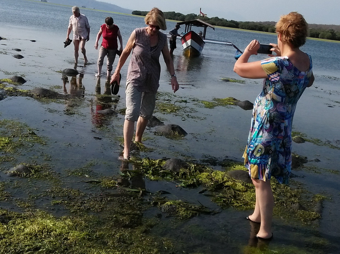 The Arya Guest House主图