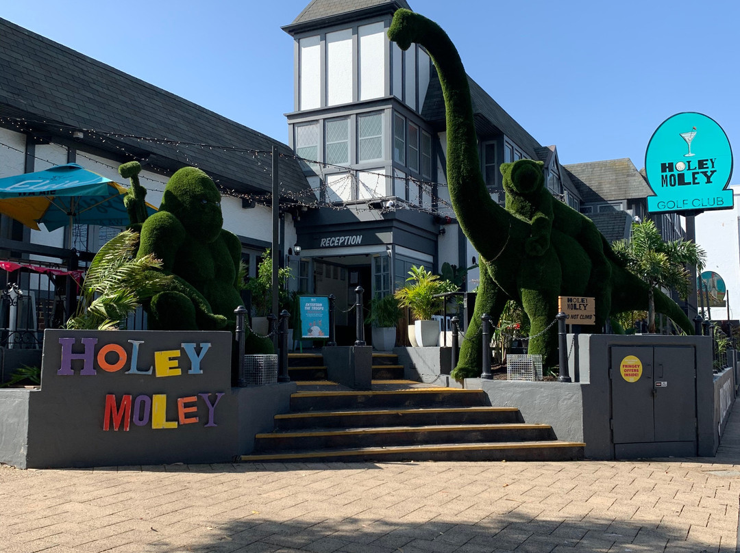 Holey Moley Golf Club Northbridge-珀斯必去景点