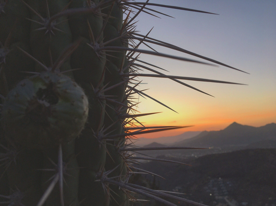 Cerro Pochoco-圣地亚哥必去景点