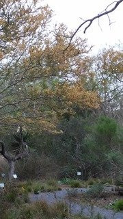 World Birding Center-Harlingen必去景点