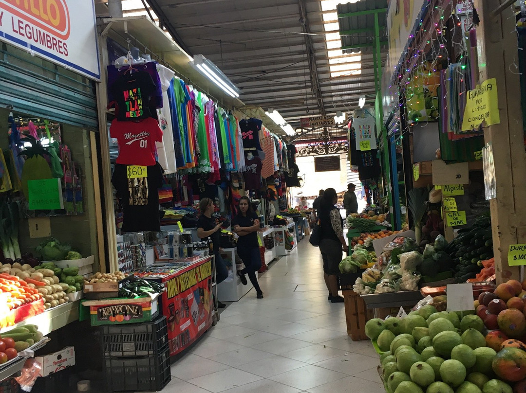 Old Mazatlan-马萨特兰必去景点