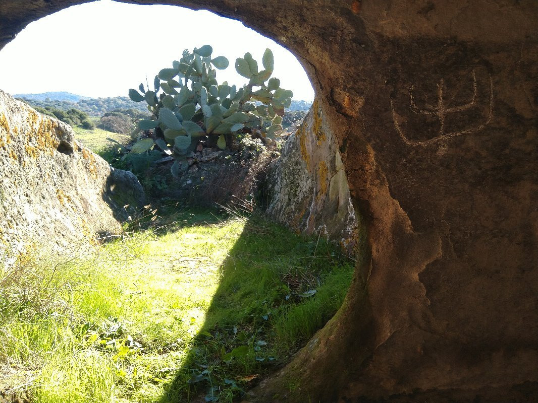 Necropoli di Sas Concas-Oniferi必去景点