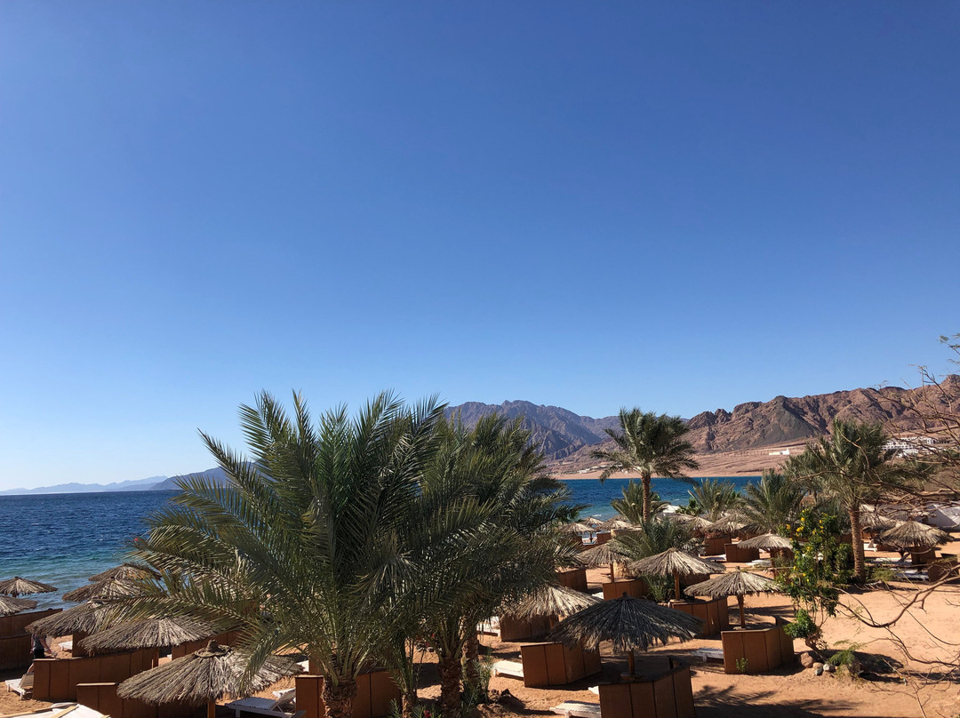 Swiss Inn Resort Dahab主图