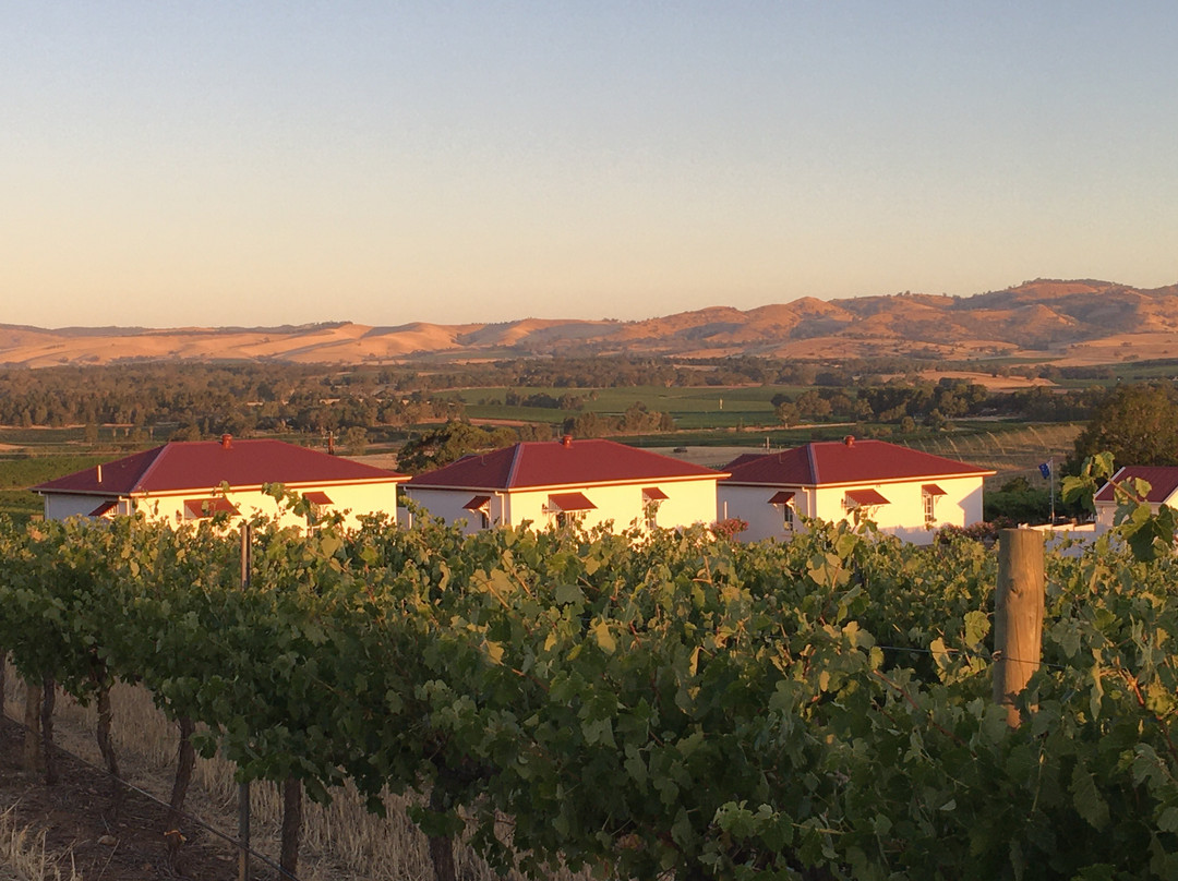 Barossa Valley, Lyndoch