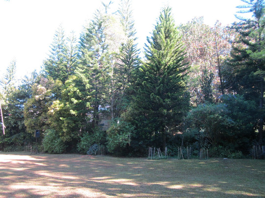 Frangeli House主图