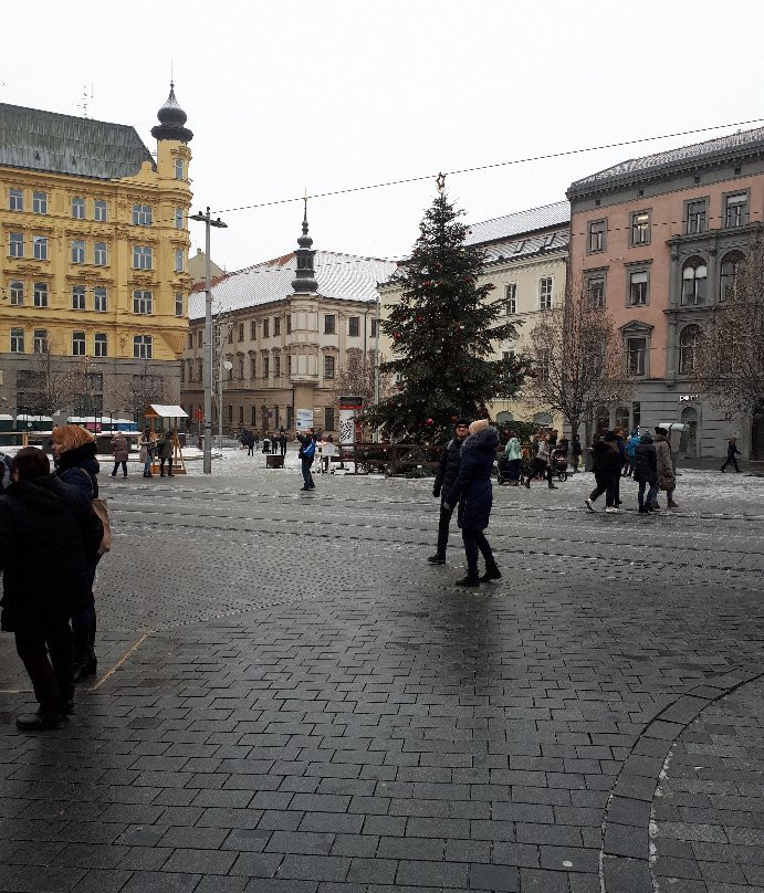Namesti Svobody景点图片