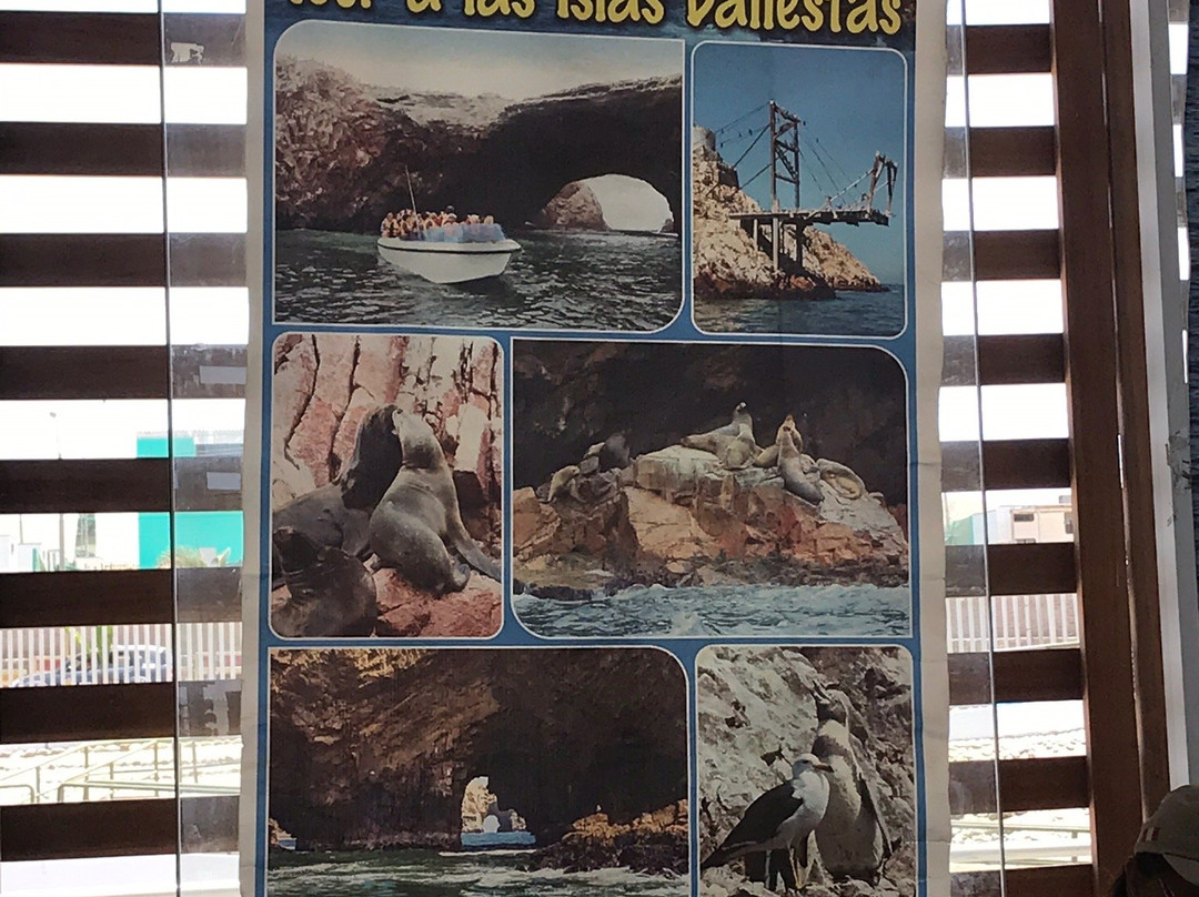 Paracas History Museum -  Juan Navarro Hierro-帕拉卡斯必去景点