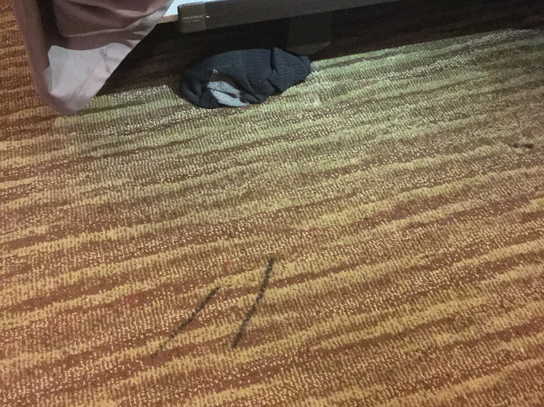 Super 8 by Wyndham Gresham/Portland Area OR主图