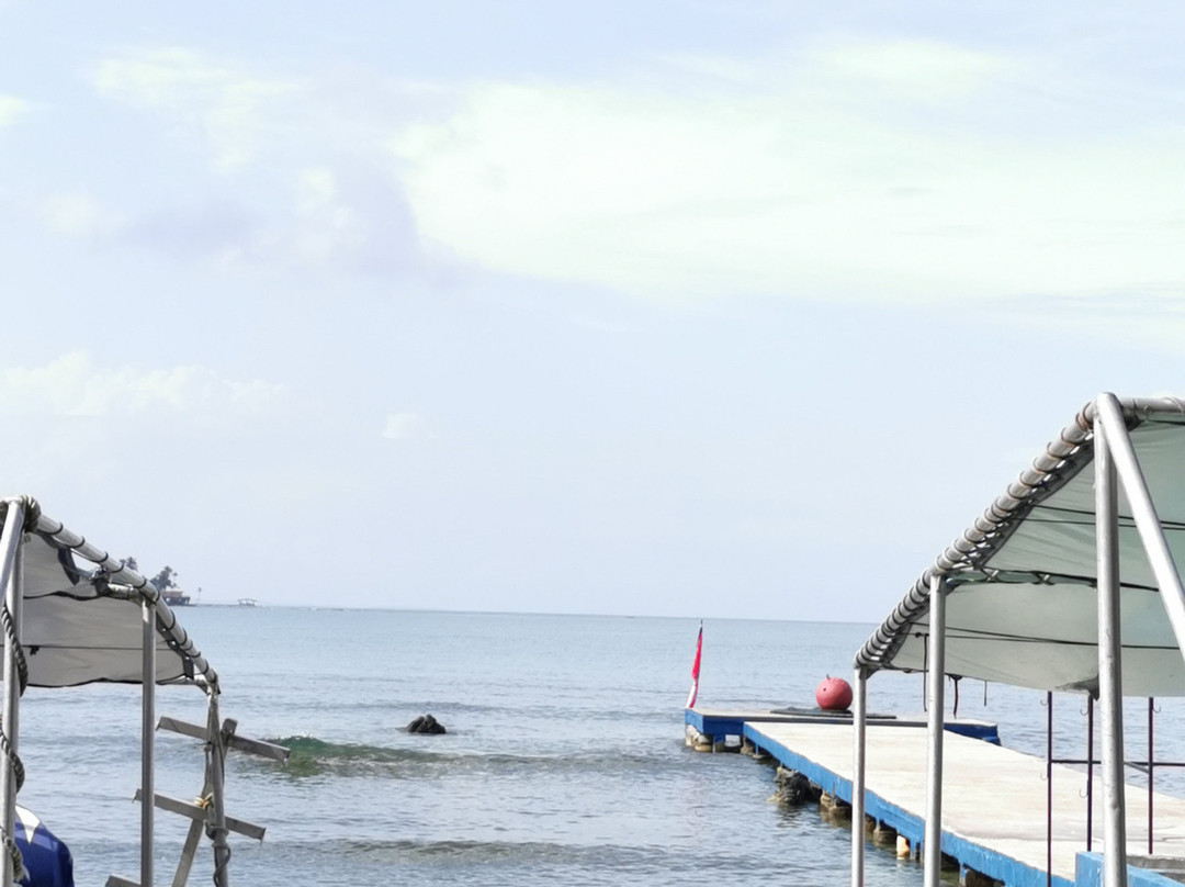 Scuba Panama景点图片