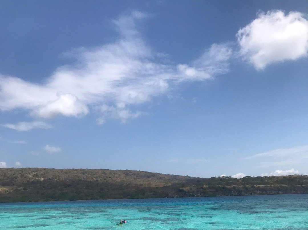 Snorkeling Menjangan Island景点图片