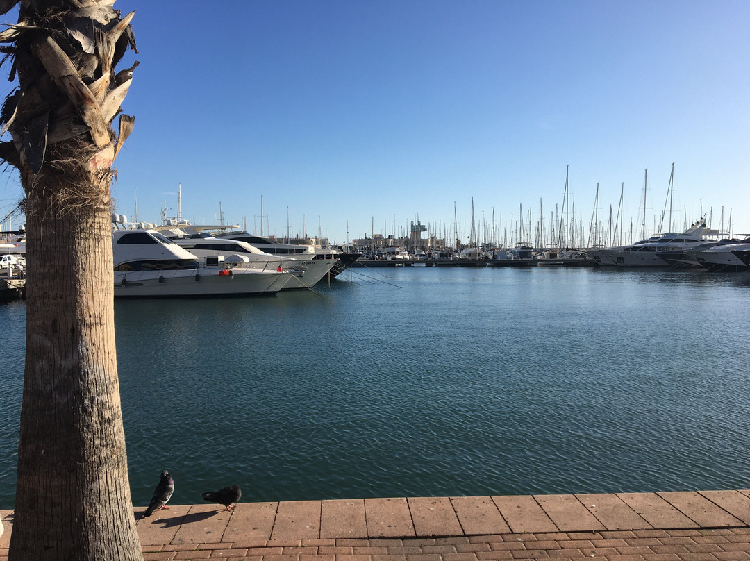 Puerto Deportivo景点图片