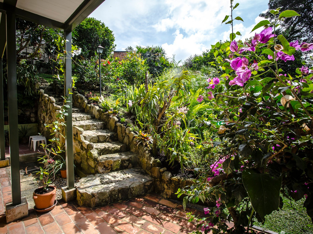 Posada Las Bromelias主图