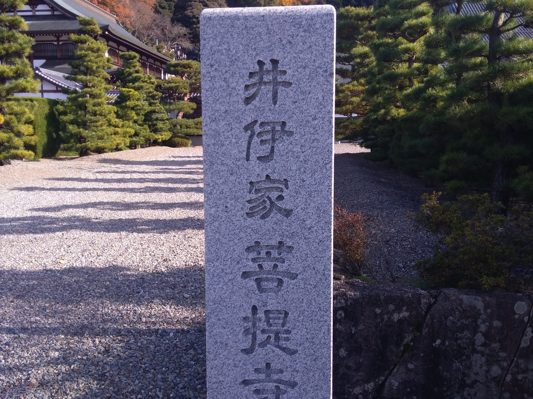 Seiryo-ji Temple-彦根市必去景点