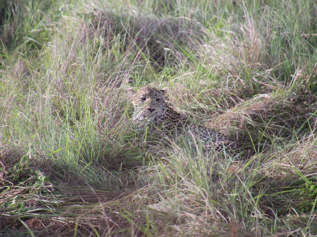 Safaris Partners-莫洛哥罗必去景点