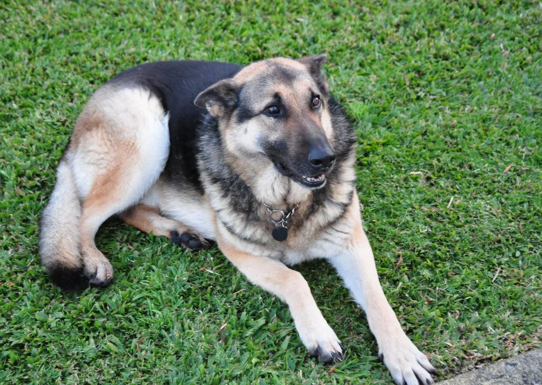 Casa do Padreiro主图