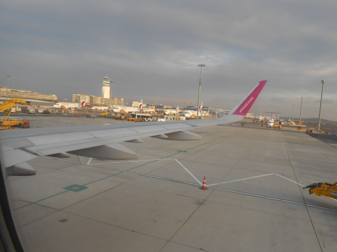 Vienna Airport Cab景点图片