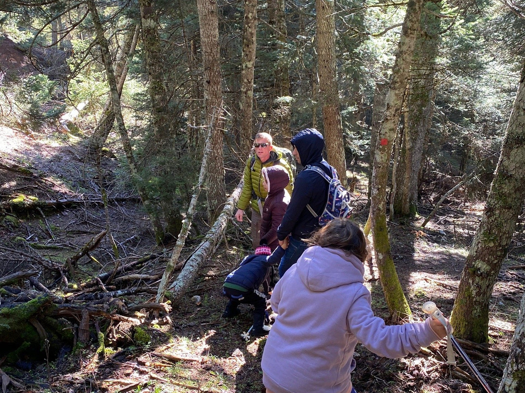 Trekking Hellas Delphi-德尔斐必去景点