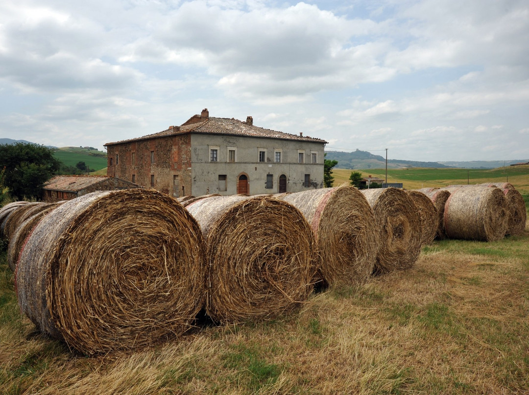 A Day in Tuscany by Serena Baglioni-蒙特普尔恰诺必去景点